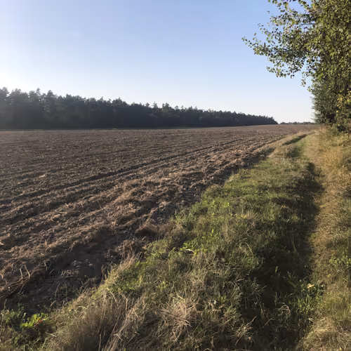 Field 1