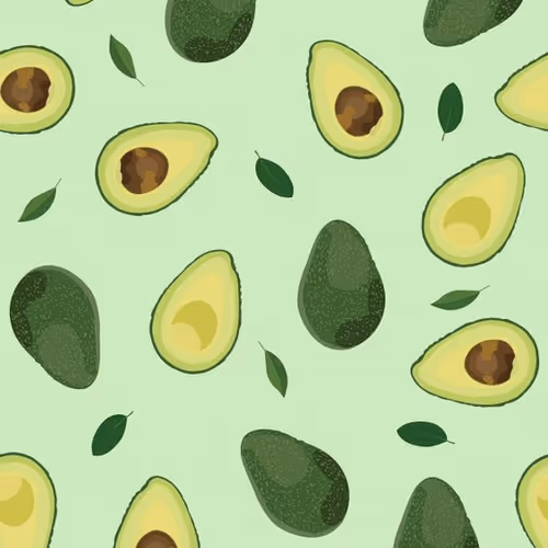 Avocado1