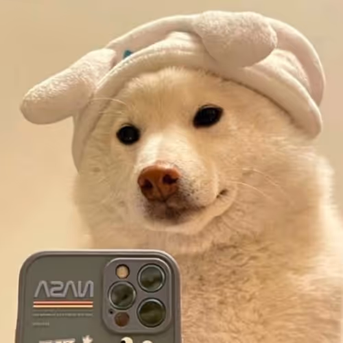셀카dog
