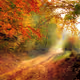 Otoño