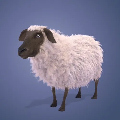 Lucky Sheep