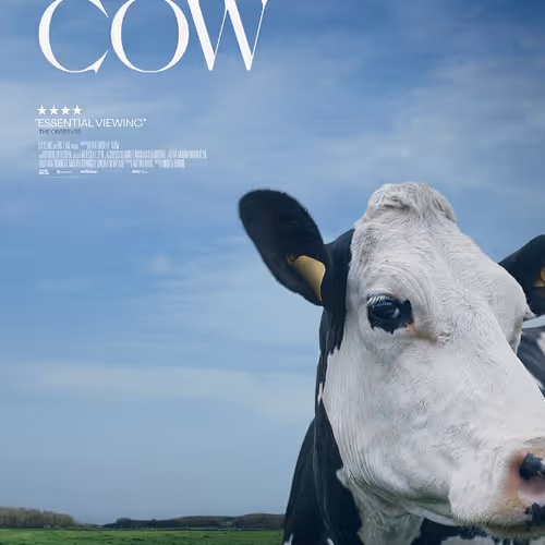It is a cow