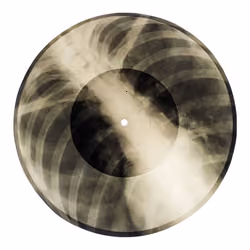 Bones 3 Zorb 