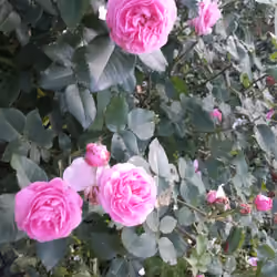 20180626_181133