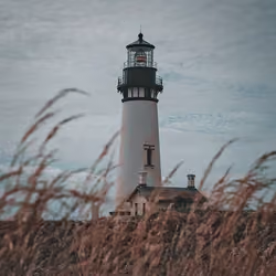 Light in the distance