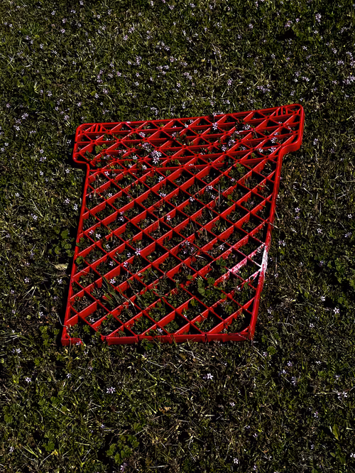 Item #21 Media