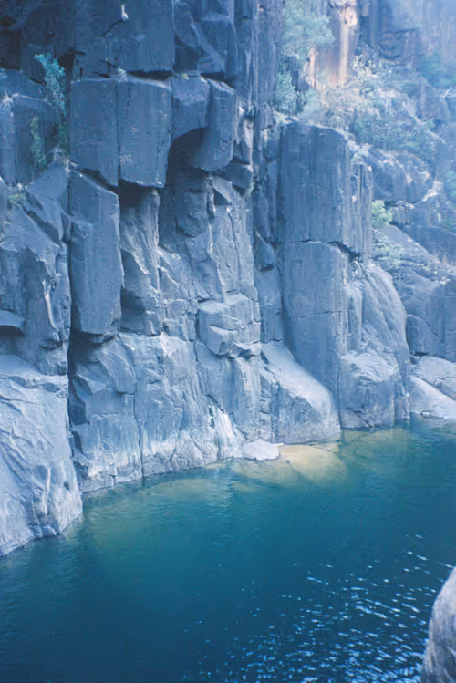 Item #31 Media