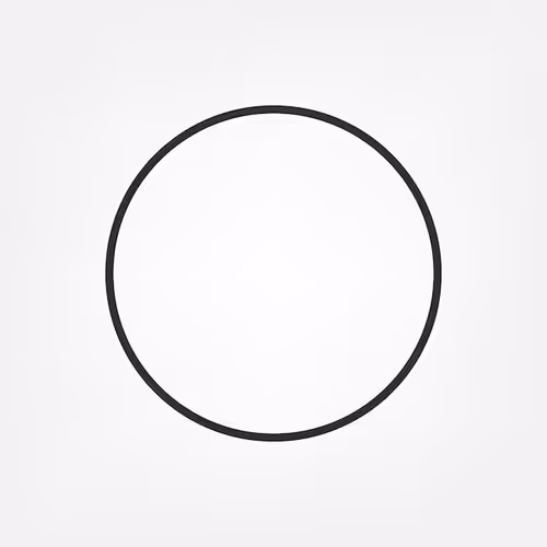 empty zorb