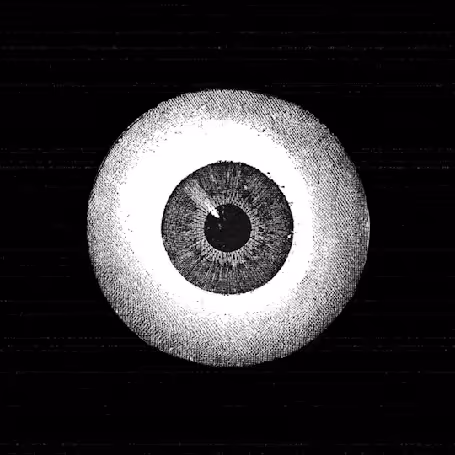 Zora eye