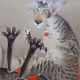 19