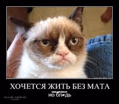 блядь