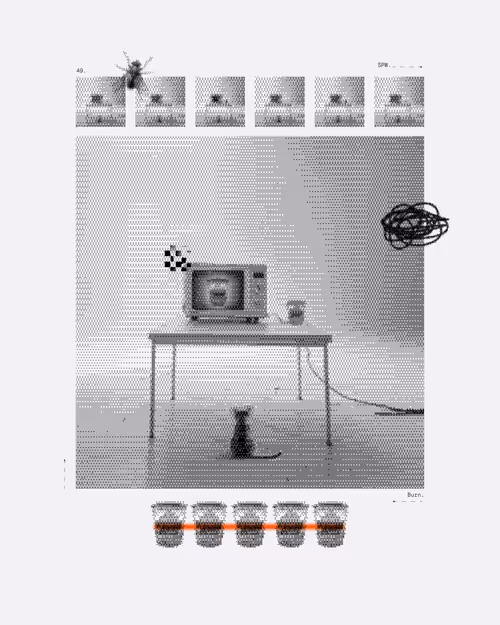 Item #2 Media