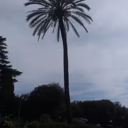 IMAG2945