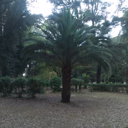 IMAG2951