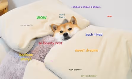 DogeZora 2/10000
