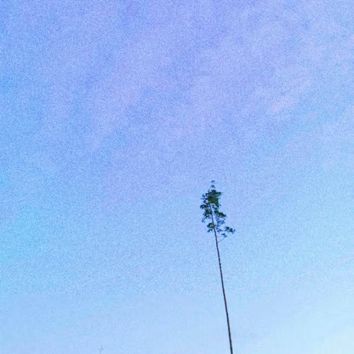 BRIGHT SKY !!!