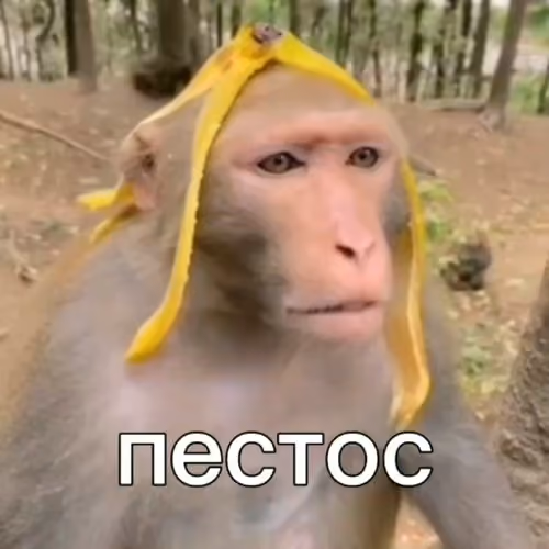 Pestos