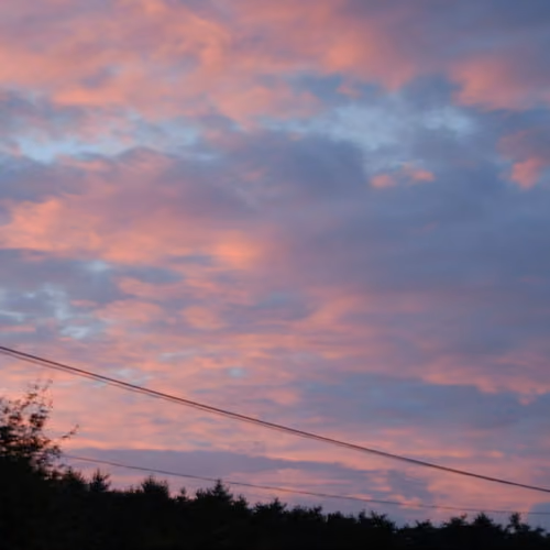 pink sunset