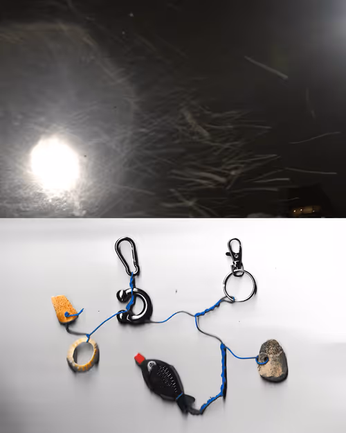 Item #41 Media