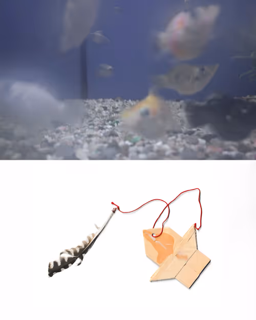Item #60 Media