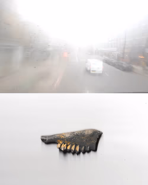 Item #40 Media