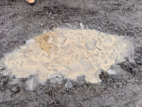 Item #61 Media