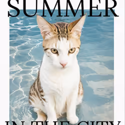 I'm a beach cat 😎😺