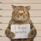 Angry Cat