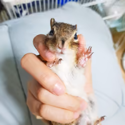 D_QFKznUEAATMnr