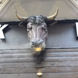 The mood color is bullish