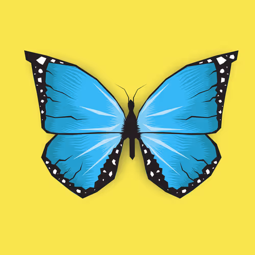 Butterfly #1