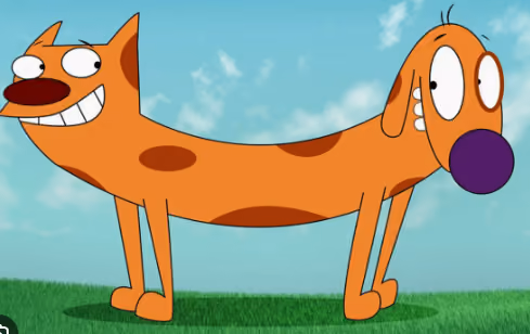 cat