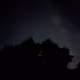 Zora Posts