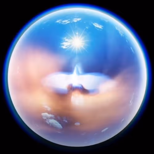 A bird with no destination