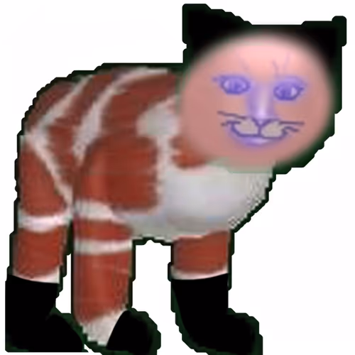🐈