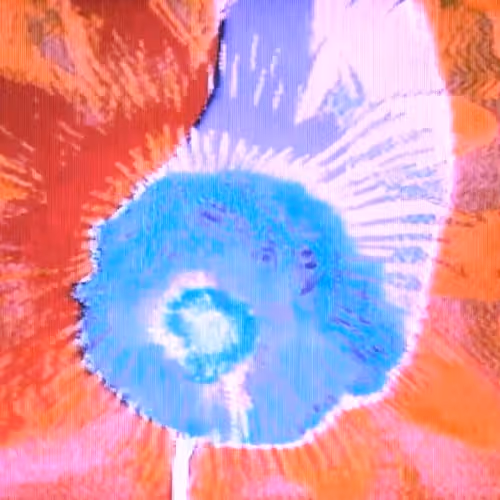 Ellie Pritts - blossom cycle I