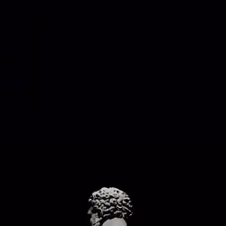 Godfrie