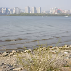 The Han River is flowing with the couple.