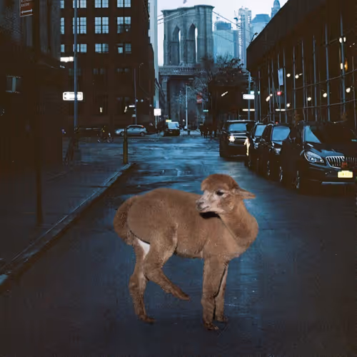 Twilight Lama 33