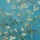 Van Gogh Replicas Onchain