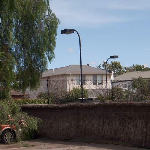 Tennis Court Picture with Fallen Branch and Subaru