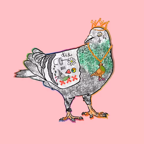 CoolPigeon