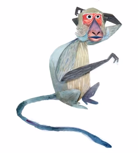 hmm monkey 1