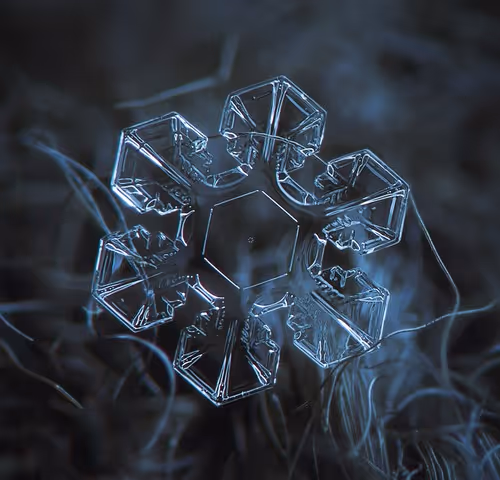 Freez 2/111