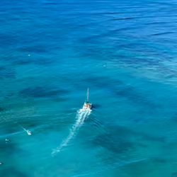 waiikiki ocean