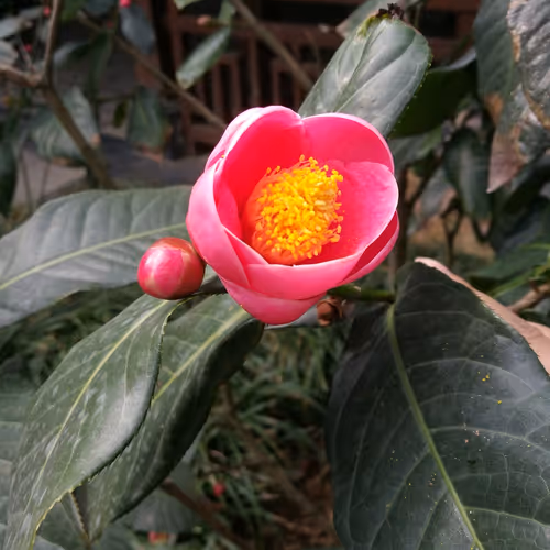 zone1