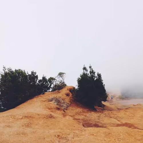 Contributions Transcripts Elimination 4