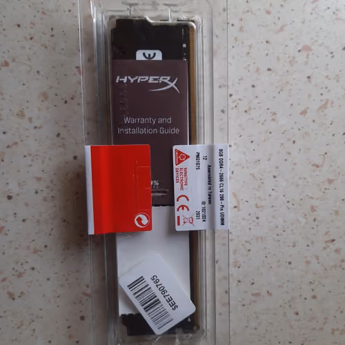 RAM #1