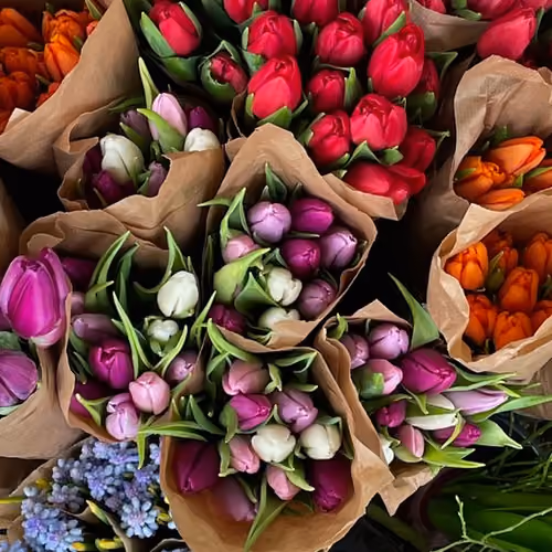 flowers