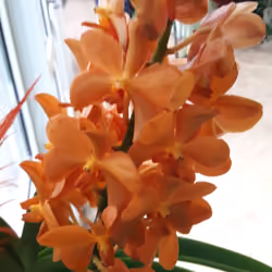 20170304_170142